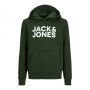 Jack&Jones Jongens Hoodie Corp