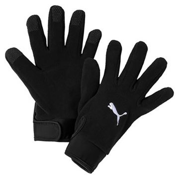 Puma Handschoenen Teamliga Winter - zwart